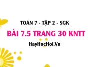 Bài 7.5 trang 30 Toán 7 Tập 2 Kết nối tri thức